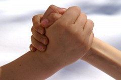 2014 - leto alpskih mest leta