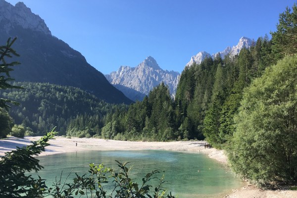 Alpska politika v letu 2023: slovensko-švicarsko leto