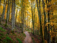 CIPRA Slovenija z DOPPS sovodja delovne skupine za varstvo narave