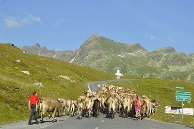Daljše poletne počitnice zaradi podnebnih sprememb