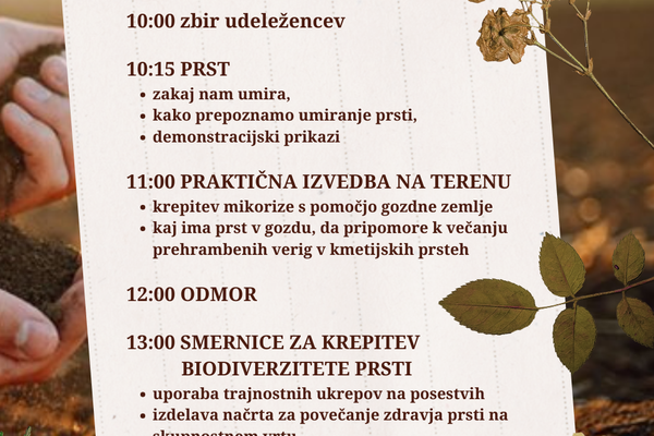 Delavnica o biodiverziteti prsti