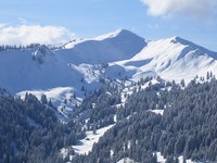 Kanibalizacija turizma