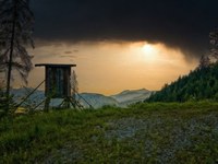 Kritika zaradi nove lovske zakonodaje