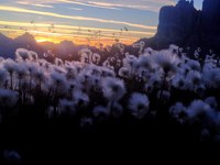 Na poti brez puščanja sledi