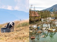 Podnebna tveganja: Pripravimo se, namesto da čakamo