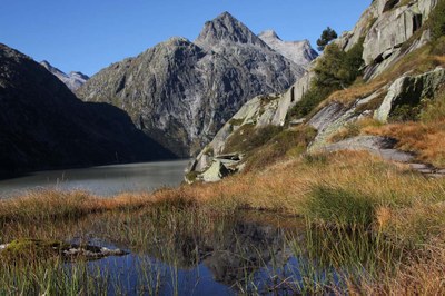 Prelomna odločitev za varstvo mokrišč