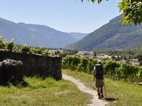 Senčne in sončne strani italijanskih Alp