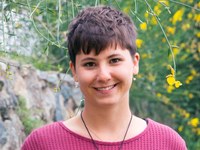 Stališče: Alpe niso neskončen vir energije!