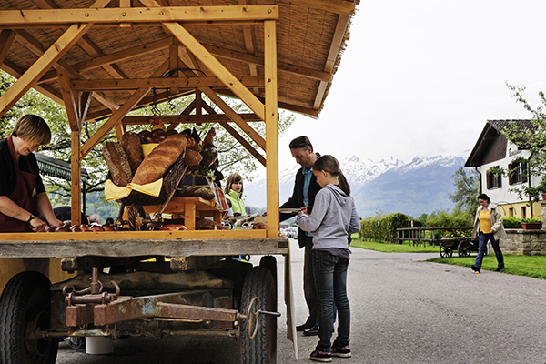 Trajnostni alpski turizem nujno potrebuje konkretnejšo obliko