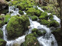Vodni viri v Kamniško-Savinjskih Alpah so onesnaženi: fekalije odtekajo v izvire pitne vode