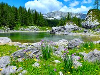 Zakaj se ne smemo kopati v visokogorskih jezerih?