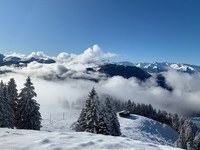 Zavrnitev predloga za ustanovitev naravnega parka Rätikon