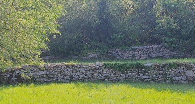 KamenGor: oživljanje dediščine suhozidov Goriške