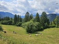 Na deželo po delo - revitalizacija poklicev evropskega podeželja