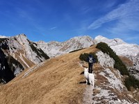 Ponovni zagon alpskega turizma