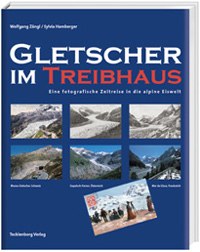 Gletscher im Treibhaus (Ledeniki v topli gredi)