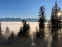 Alpska pokrajina ni obnovljiva!
