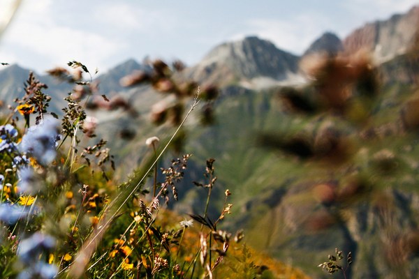 Biotska raznovrstnost zahteva pogumno politiko in prepričljivo izvajanje