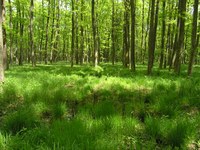 Mesto, podeželje in gore v ravnovesju