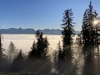 Alpska pokrajina ni obnovljiva!
