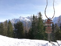Kranjska Gora, žičnica in petelin - možnosti trajnostnih odločitev