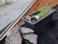 Temporäre Ausstellung: «Was ist da unter meinen Füssen?»